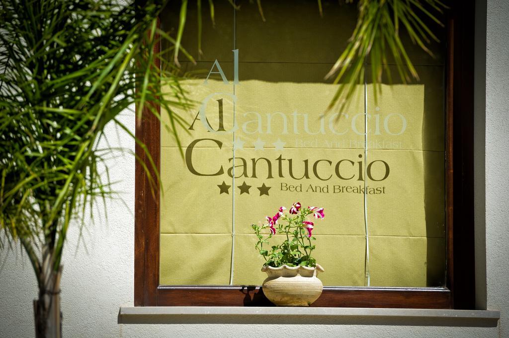 Al Cantuccio Bed & Breakfast Castelluzzo Eksteriør bilde